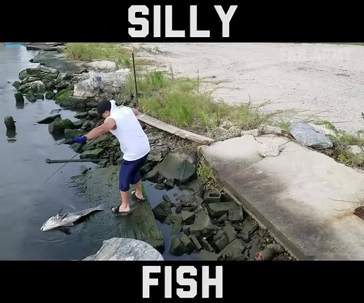 I've got bigger fish to fry | FailArmy