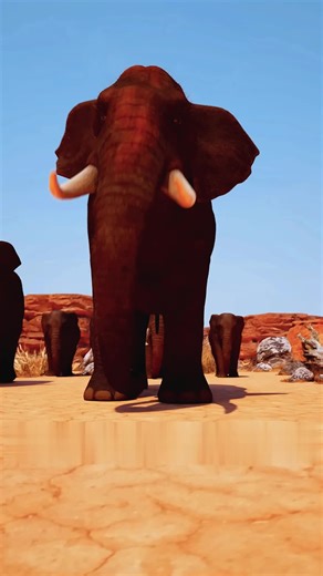 Elephants Mourn Their Dead: Fascinating Facts