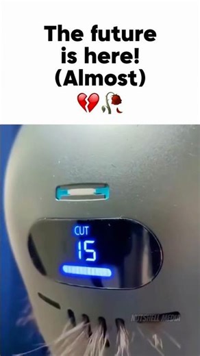 #banku 💇‍♂️