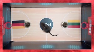 1.8K views · 12 reactions | #KONKURSAS Delfi orakulas peliukas Degu...