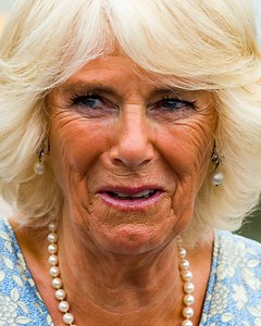 478K views · 6.3K reactions | The Most Inappropriate Outfits #CamillaP | The List | Facebook