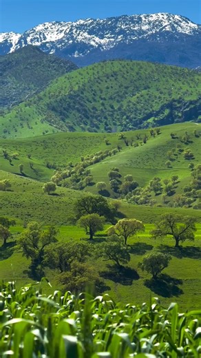 Travel Nature Photos on Instagram: "#traveler #traveltheworld #traveller #igtravel #travelingram #travelblog #traveladdict #travels #mytravelgram #instatraveling #traveldiaries #travellife #travelphoto #travelawesome #travelpics #natgeotravel #travelholic #luxurytravel #travelbug #solotravel #travelgirl #worldtraveler #travelstoke #traveldeeper #travelgoals #travelers #travelmore #travellingthroughtheworld #travelpic #traveldiary . . ."