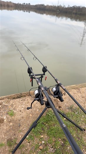 FOX TRIPOD ROD POD 🦊