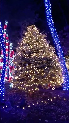 Holly Jolly Journey: Litchfield NH