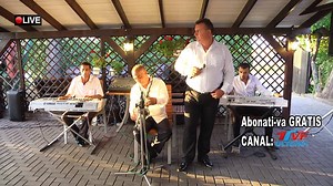 749K views · 10K reactions | Strainatatea | APM MUSIC Records | Facebook