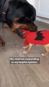 Actual video of me talking to my relatives on Thanksgiving. | Jonathan Blank Films