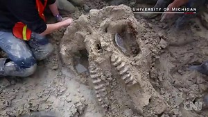 46K views · 325 shares | Researchers from the University of Michigan...