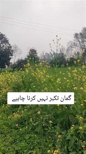 Understanding Humility and Avoiding Arrogance