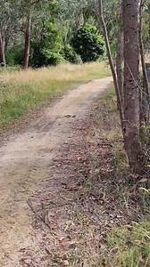 1.2M views · 9.8K reactions | Winnie the little go getter alerting...