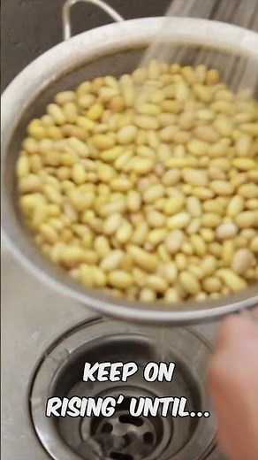 How to make frijoles (pinto/black/Peruvian bean recipe)