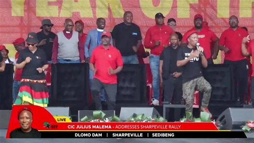 51K views · 425 reactions | That horrible song again.... South...