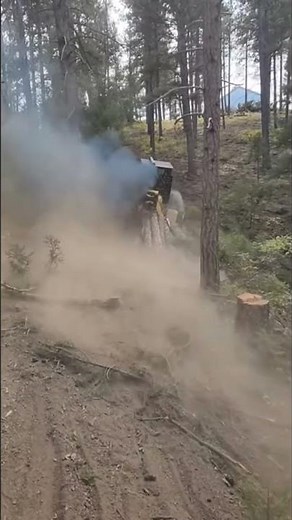 353 Detroit 2 stroke diesel sound.