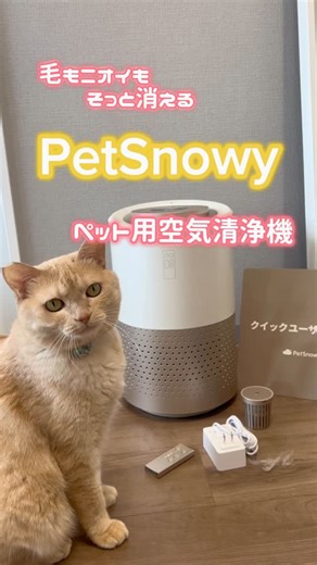 まどちゅる🐈 on Instagram: "念願の空気清浄機👏✨ @petsnowy_jp さんの ペット用空気清浄機🐈 めちゃくちゃ、いいです🫶 ◎ 独自の特許技術｜TiO2光触媒×UVCの“強力消臭” ◎ 静音設計×ペットの毛の“強力吸引” ◎ コンパクトで高級感のある“インテリア性” ◎ スマート操作（アプリ・マグネット式リモコン）&“簡単フィルター交換” どれをとっても抜群✨ とにかくちゅるもお気に入り♡ 詳しくはフィード投稿とハイライトで💁🏻‍♀️ 可愛い写真いっぱい撮れました✌️ #元野良猫#さくらねこ#ちゅるのいる暮らし#ペットのいる暮らし #インテリア家電 #静音設計#毛対策 #抜け毛掃除 #おしゃれ家電 #ペット用品#PetSnowy #空気清浄機#ペット用空気清浄機#pr"