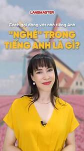 1 kiến thức hữu ích cùng cô Liesel 😍 #Langmaster #hoctienganhlangmaster #IELTSLangmaster | 30 Phút Tiếng Anh Mỗi Ngày