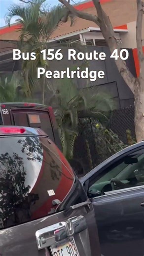 Bus 156 Route 40 Pearlridge