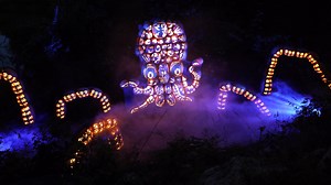 A peek inside and walk through the Great Jack-O’Lantern Blaze: What to expect