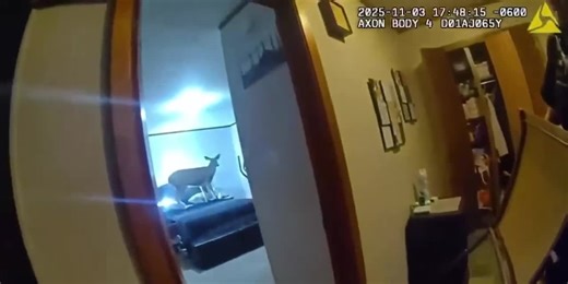 Watertown police respond to reported break in