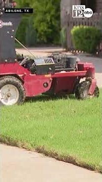 'We’ll probably lose some business’: rising gas costs put pressure on local landscapers