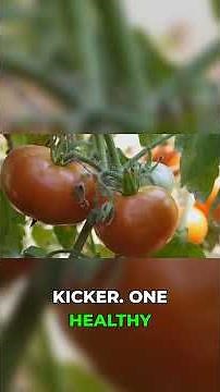 Tomatoes & Peppers: A Risky Family Reunion