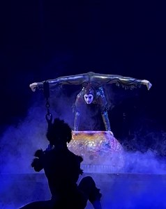 132K views · 8.7K reactions | It’s a Silver Spider #Saturday here in Kamloops, British Columbia!  Wishing you all a great weekend! ☀️ | OVO - Cirque du Soleil | Facebook