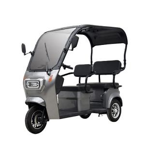 [Hot Item] Three Wheel Electric Mini Scooter Tricycle with Roof for Adult Red Black Gray Silver Body Motor Acid Power Battery