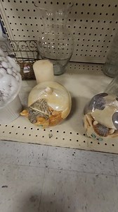 53K views · 620 reactions | LOOK AT THESE BABIES!!! | Good Will Finding | Facebook