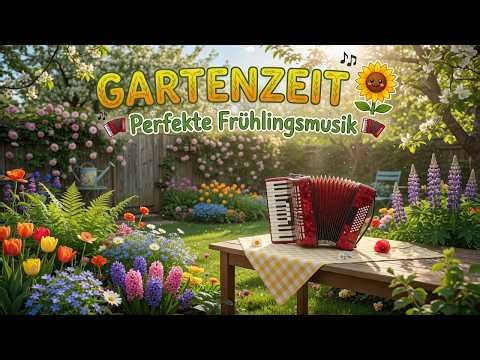 Akkordeon Hits zum Entspannen | Zeitlose Schlager neu interpretiert New | Schlager German