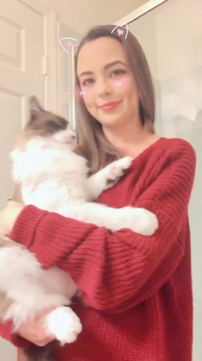 GUYS!! I’m back!!! And there’s filters for kitties!!! 😻 should I make more tik toks? Let me know ♡