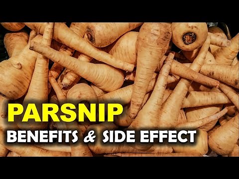 Parsnips Health Benefits and Side Effects