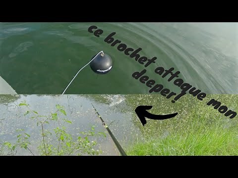test du DEEPER pro +