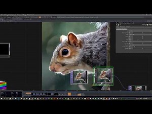 TD-Anisotropic-Kuwahara