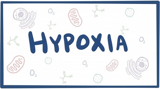 Hypoxia: Video, Causes, & Meaning | Osmosis