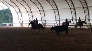 56K views · 942 reactions | And I present to you, Linda Parelli cutting on Super Horse, Spark Plug! AND YES! I said LINDA!!! CUTTING!!! This is her second cutting lesson I have ever given her, and I think I have convinced her to compete this weekend at the NCHA competition in Ignacio! NOW! Who would love to see LINDA PARELLI, CATON PARELLI, Team Parelli and myself compete this weekend???? | Pat Parelli | Facebook