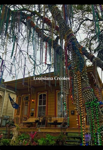 The Louisiana Creoles After the first emergence of slaves in 1719, the Creole culture dominated Louisiana and continued to do so until the first waves of black migration in the 1840s. Since then the Creole, and more specifically the Creole of color (Gens de couleur), have fought to keep their language, traditions, and culture alive. With influences from Western Europeans, West Africans, and Native Americans, the Creole culture was in direct opposition with white, English speaking, Anglo-Saxon Am