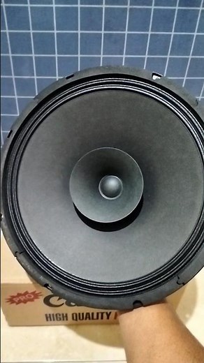 speaker 12 inch Canon