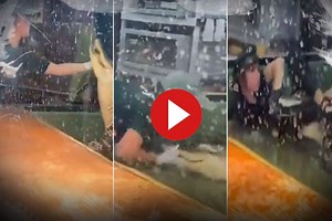 Viral Video: Alligator Bites Woman's Hand When She Goes to Feed Him. Watch What Happens Next