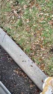 Grading a Card at GameStop in 2026… Here’s What Happens