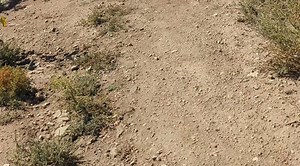 Joshua 6: The Fall of Jericho