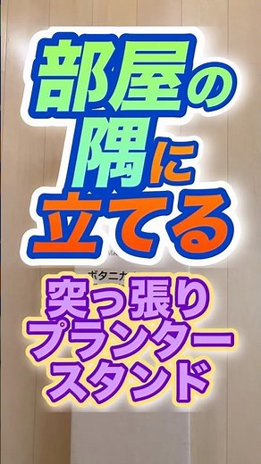賃貸可！部屋の隅っこ活用【突っ張りプランタースタンド】#フラワースタンド #観葉植物のある暮らし #観葉植物インテリア #プラントスタンド #植物棚