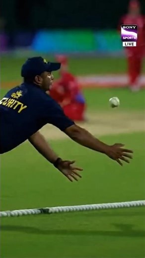 Security Guard Catch!😱#cricket #shorts #viral
