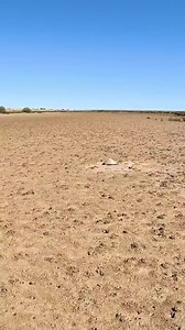 Sea turtle stuck on remote mud flats… | Rescue Turtles