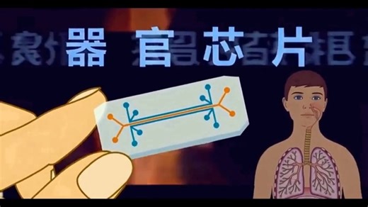 百亿研发打水漂? 为什么动物试完有效的药，一到人身上就失败?