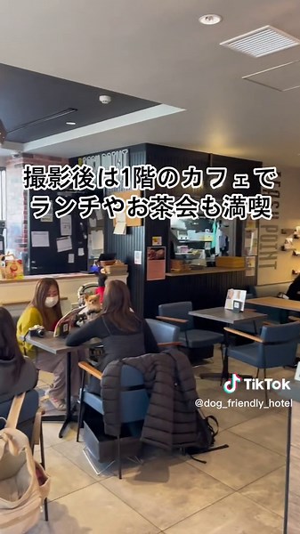 わんちゃんがお姫様・王子様になれる、プリンセスフォトブース体験！ ロングドレスやタキシードはレンタル無料✨詳しくはコメント欄を見てね！ #ペットOK #わんこok #ペットとお出かけ #フォトブース #撮影会 #わんこ撮影 #プリンセス #東京カフェ #ペットホテル #icihotel