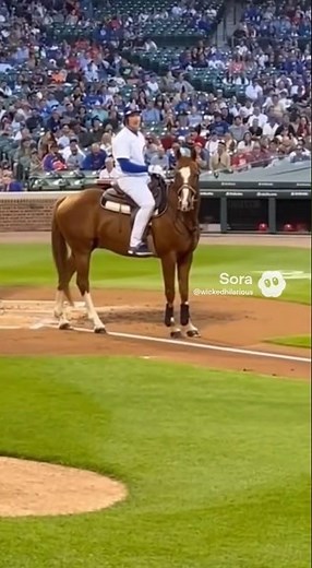 Batter on a Horse Stumps the Pitcher! 🐴⚾