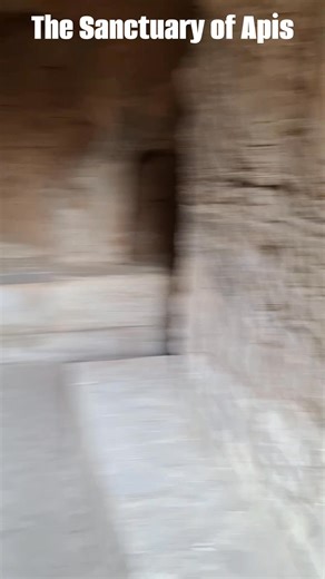 5.2K views · 67 reactions | The sanctuary of the ancient Egyptian God Apis, at the Serapeum of Alexandria. The Serapeum was dedicated to the Greek god Serapis but was built on the site of an earlier temple dedicated to Apis during the reign of Ptolemy III Euergetes. #ancientegypt #history #Serapeum #Serapis | The Tudor Intruders -and more | Facebook