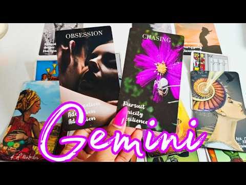 GEMINI♊OMG! THIS IS F***ING INSANE!🫢💌 #tarot
