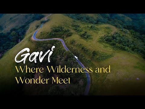 Exploring Gavi: A Journey Through Nature’s Emerald Paradise