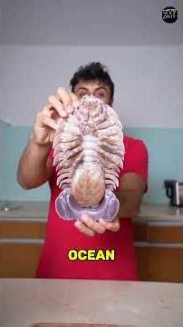 5 CREEPIEST Animals You Won’t Believe Exist 😱