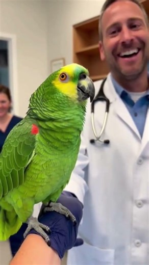Funny Milo Interviews the Doctor 😂 | Talking Parrot at Vet | Viral #Short