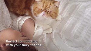 Bedsure Boho Tufted Queen Comforter Set - White Boho Bedding Comforter Sets, 3 Pieces Farmhouse Shabby Chic Embroidery Bed Set, Soft Fluffy Cozy Arch Pattern Comforter for All Seasons